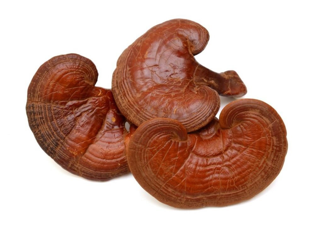 Predstonorm conține ciuperci reishi