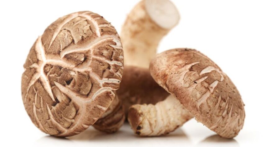 Predstonorm conține ciuperci shiitake